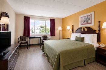 Standard Room, 1 King Bed, Non Smoking
