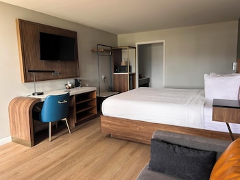 Standard Room, 1 King Bed, Non Smoking, Refrigerator & Microwave (Shower Only;with Sofabed)