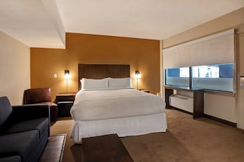 Room, 1 King Bed