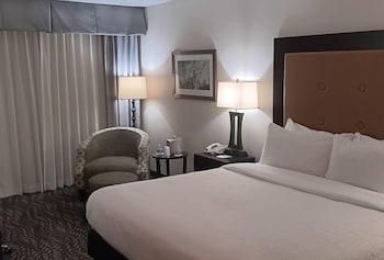 Room, 1 King Bed, Non Smoking (Executive Floor)