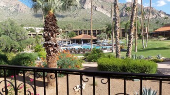Room, 1 King Bed, Pool View