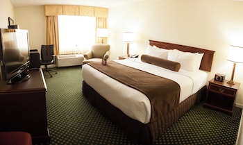 Standard Room, 1 King Bed (Bath Shower Combination)