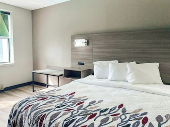 Superior Room, 1 Queen Bed, Accessible, Non Smoking (Roll-In Shower)