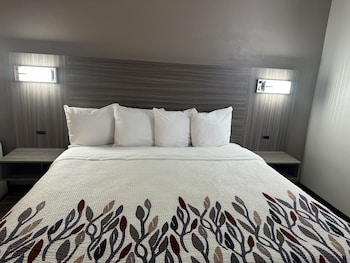 Suite, 1 King Bed, Non Smoking