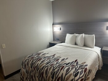 Superior Room, 1 Queen Bed, Accessible, Non Smoking (Roll-In Shower)