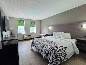 Superior Room, 1 Queen Bed, Accessible, Non Smoking (Roll-In Shower)