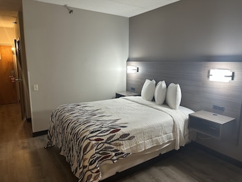 Superior Room, 1 Queen Bed, Accessible, Non Smoking (Roll-In Shower)
