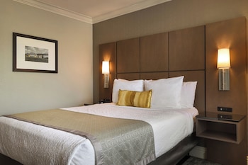 Standard Room, 1 Queen Bed, Roll-in Shower, Non Smoking
