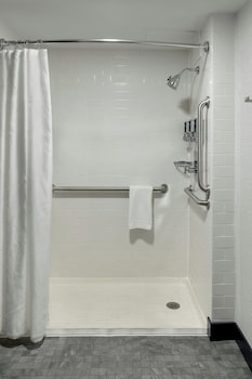 Room, 1 King Bed with Sofa bed, Roll-in Shower