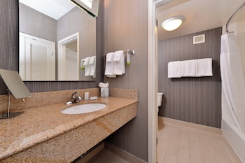 Room, 1 King Bed with Sofa bed, Hearing Accessible (Roll-in Shower)