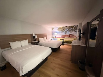 Standard Room, 2 Double Beds, Non Smoking