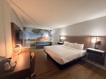 Standard Room, 1 King Bed, Non Smoking