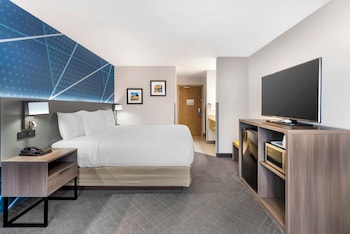 Standard Room, 1 King Bed, Non Smoking