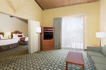 Studio Suite, 1 King Bed, Non Smoking (Mobility/Hearing Accessible)
