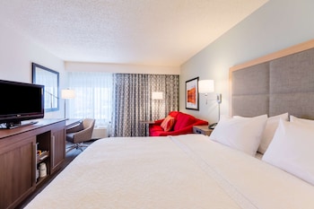 1 King Bed with Sofa Bed