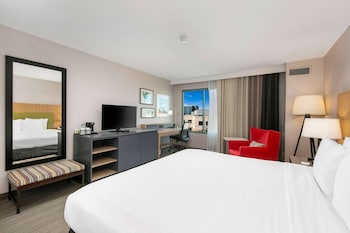 Room, 1 King Bed, Accessible, Non Smoking (Roll-in Shower)