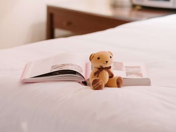 Premium Room (1 King Bed)