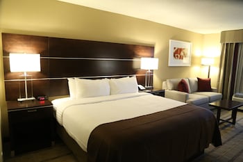 Standard Room, 1 King Bed