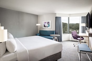 Standard Room, 1 King Bed, Accessible (Communications)