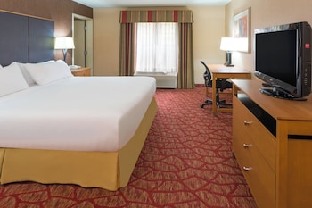 Suite, 1 King Bed, Accessible (Communication, Roll-In Shower)