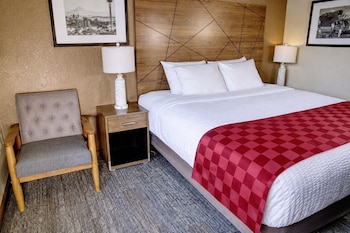 Room, 1 King Bed, Non Smoking
