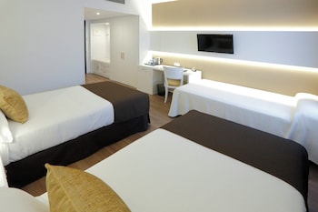 Double Room (+ Extra bed - 2 Adults and 1 child)