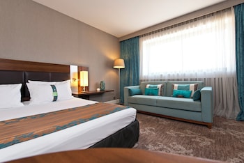 Standard Room, 1 King Bed with Sofa bed