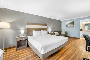 Standard Room, 1 King Bed with Sofa bed, Non Smoking