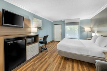 Standard Room, 1 King Bed with Sofa bed, Non Smoking