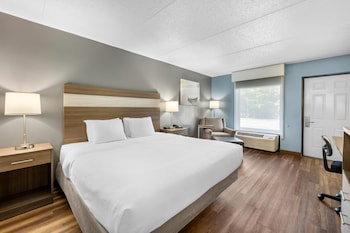 Room, 1 King Bed, Accessible, Non Smoking