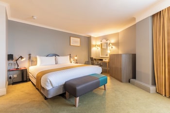 Suite, 1 King Bed with Sofa bed
