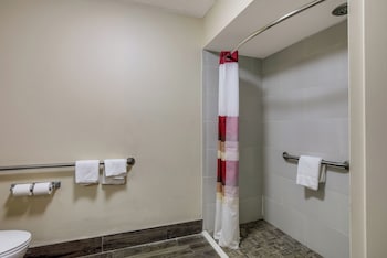 Deluxe Room, 1 Queen Bed, Accessible, Non Smoking (Roll-In Shower)