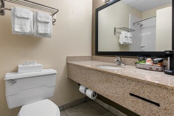 Suite, King Bed, 1 person Sofa Bed