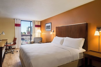 Room, 1 King Bed