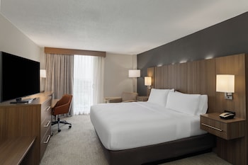 Room, 1 King Bed, Transfer Shower, Non Smoking (Communications & Mobility Accessible)