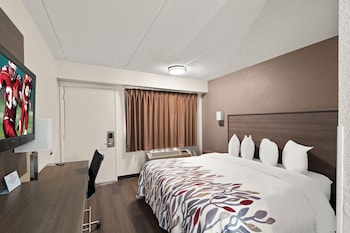 Standard Room, 1 King Bed (Smoke Free)