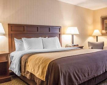 Standard Room, 1 King Bed, Non Smoking