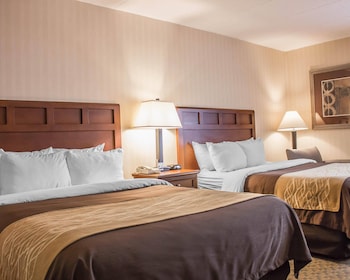 Standard Double Room, 2 Double Beds, Non Smoking