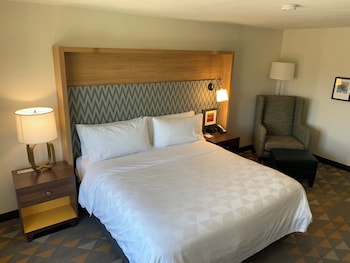 Standard Room, 1 King Bed, Accessible (Mobility, Communications)