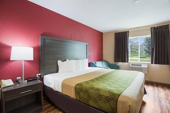 Room, 1 King Bed with Sofa bed, Accessible, Non Smoking (Accessible Tub)