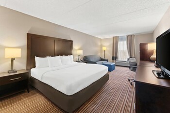 Standard Room, 1 King Bed with Sofa bed, Non Smoking
