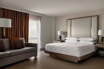 Room, 1 King Bed with Sofa bed