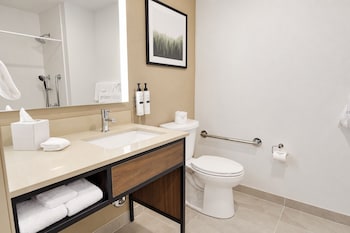 Room, 1 King Bed, Accessible, Bathtub (Mobility & Hearing)