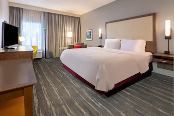 Room, 1 King Bed