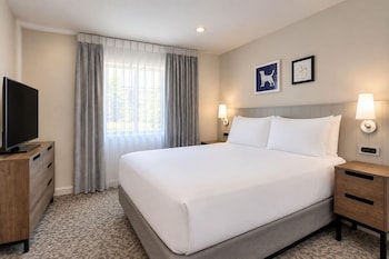 Suite, 1 Queen Bed with Sofa bed (One Bedroom)