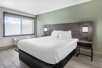 Suite, 1 King Bed, Accessible, Non Smoking