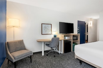 Room, 1 King Bed, Accessible (Roll-In Shower, Mobility & Hearing)