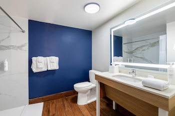 Room, 1 King Bed, Accessible (Roll-In Shower, Mobility & Hearing)