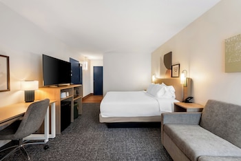 Room, 1 King Bed with Sofa bed