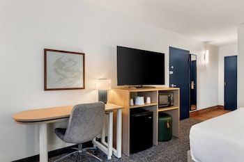 Room, 1 King Bed with Sofa bed
